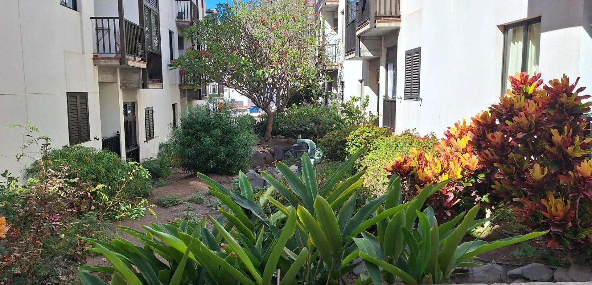 Pejeverde Playa de Santiago  Apartment Playa de Santiago (Isla de la Gomera)